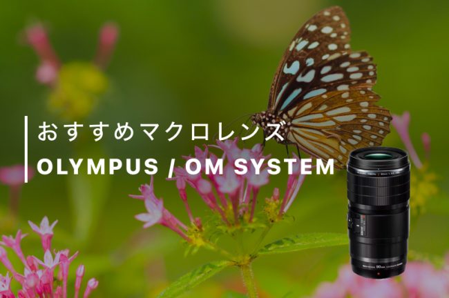 オリンパス（OMSYSTEM）のマクロレンズおすすめ3選！選び方も紹介