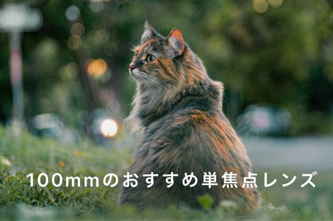 100mmの単焦点レンズおすすめ4選！特徴やメリットも解説します