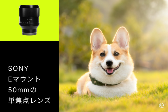 SONY Eマウントの50mm単焦点レンズおすすめ10選！