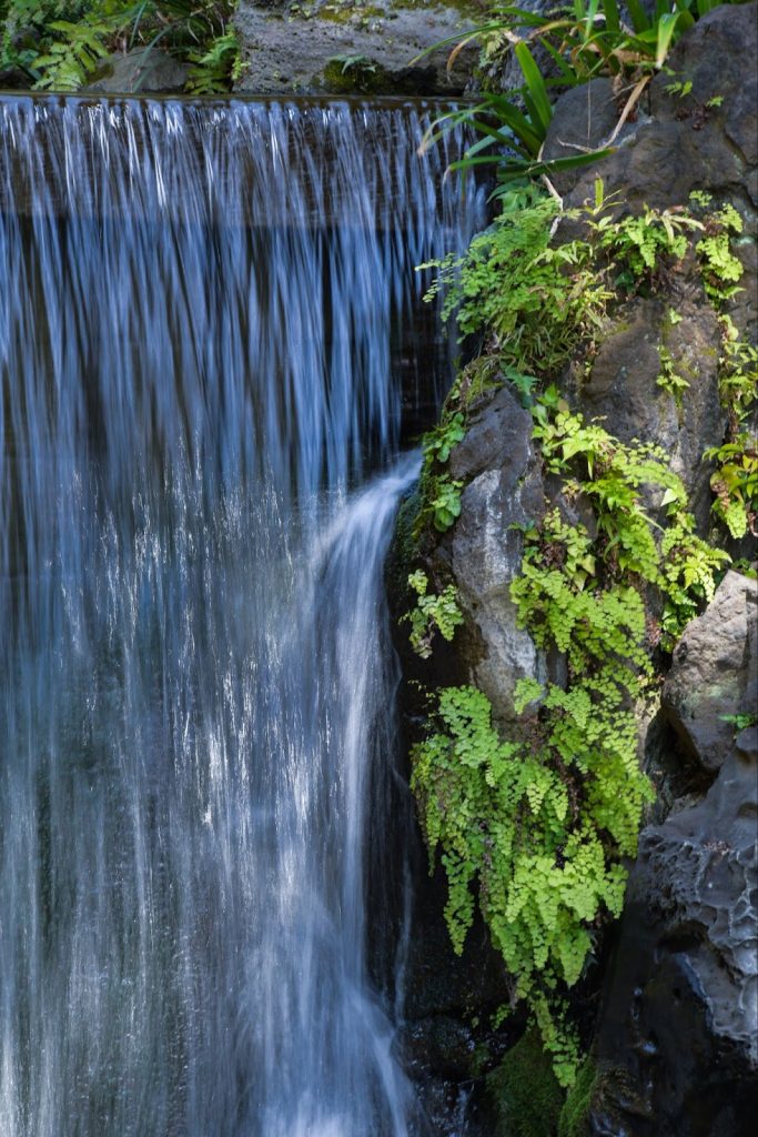 Nikon D7500 + 18-400mm F/3.5-6.3 Di II VC HLD 実写レビュー!使ってみたら人気の理由に納得した!