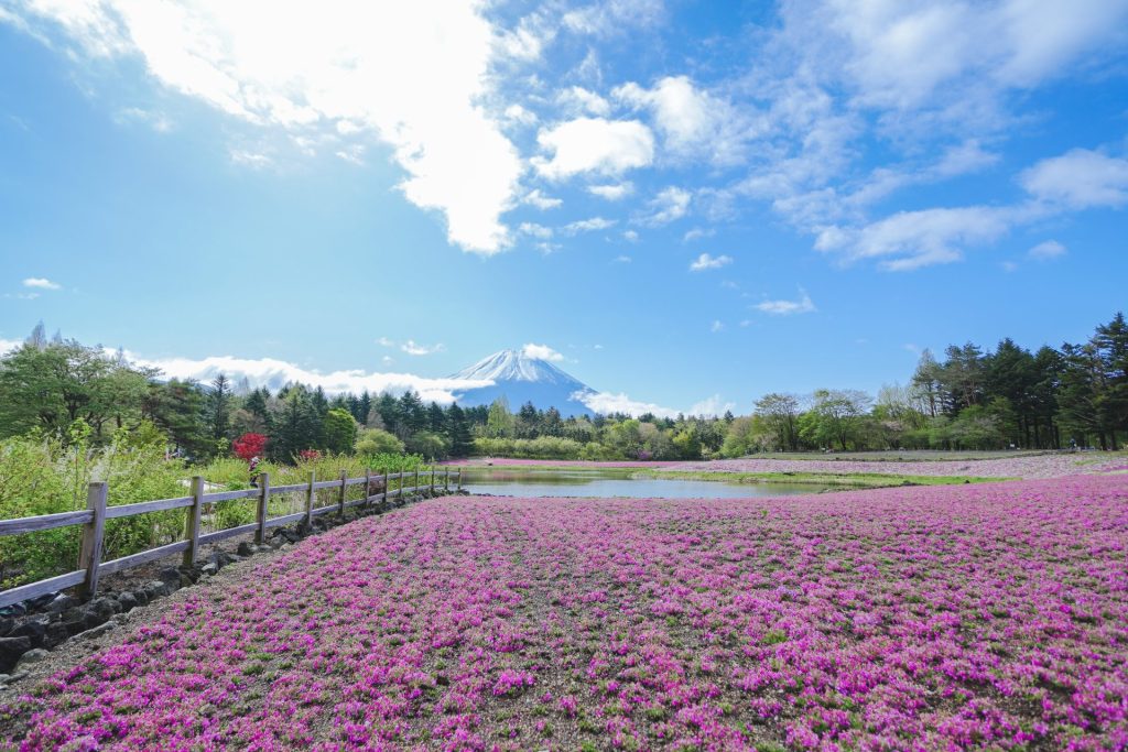 ケンコー・トキナー atx-m 11-18mm F2.8 E実写レビュー！