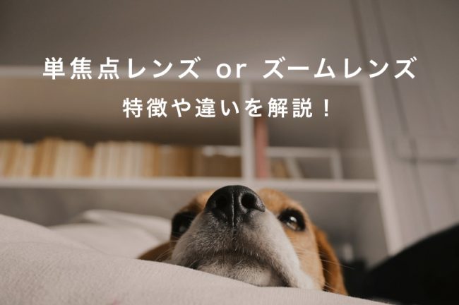 単焦点レンズとズームレンズの特徴や違いを解説！