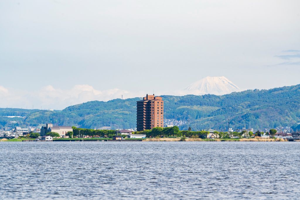 圧縮効果比較300mm