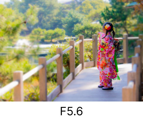 F5.6