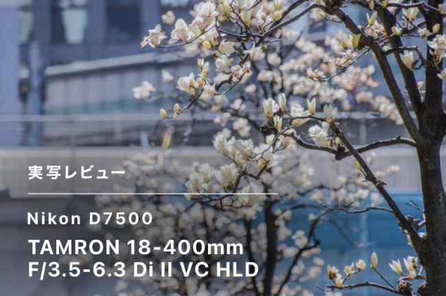 Nikon（ニコン）D7500 レビュー！評判の良さに納得した理由を解説します