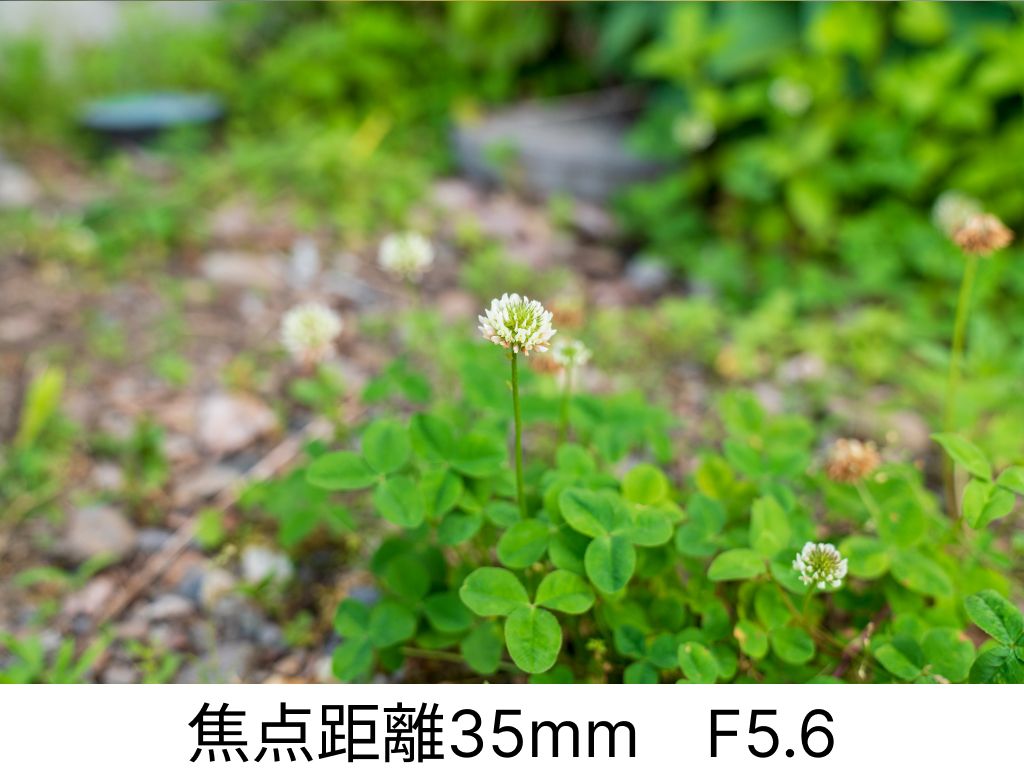 ボケと焦点距離35mm