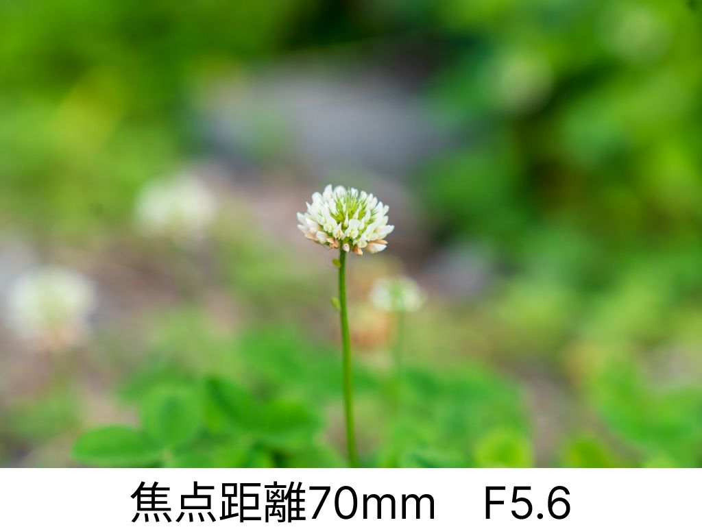 ボケと焦点距離70mm