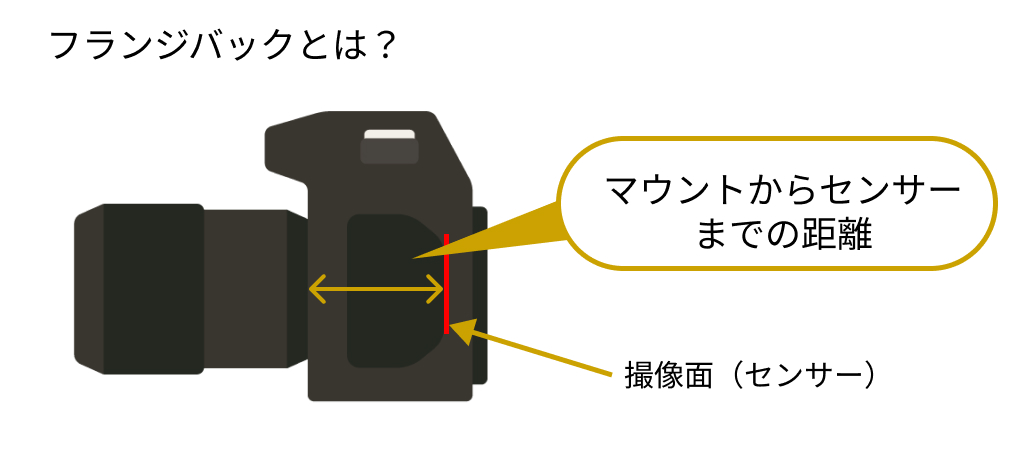 フランジバック
