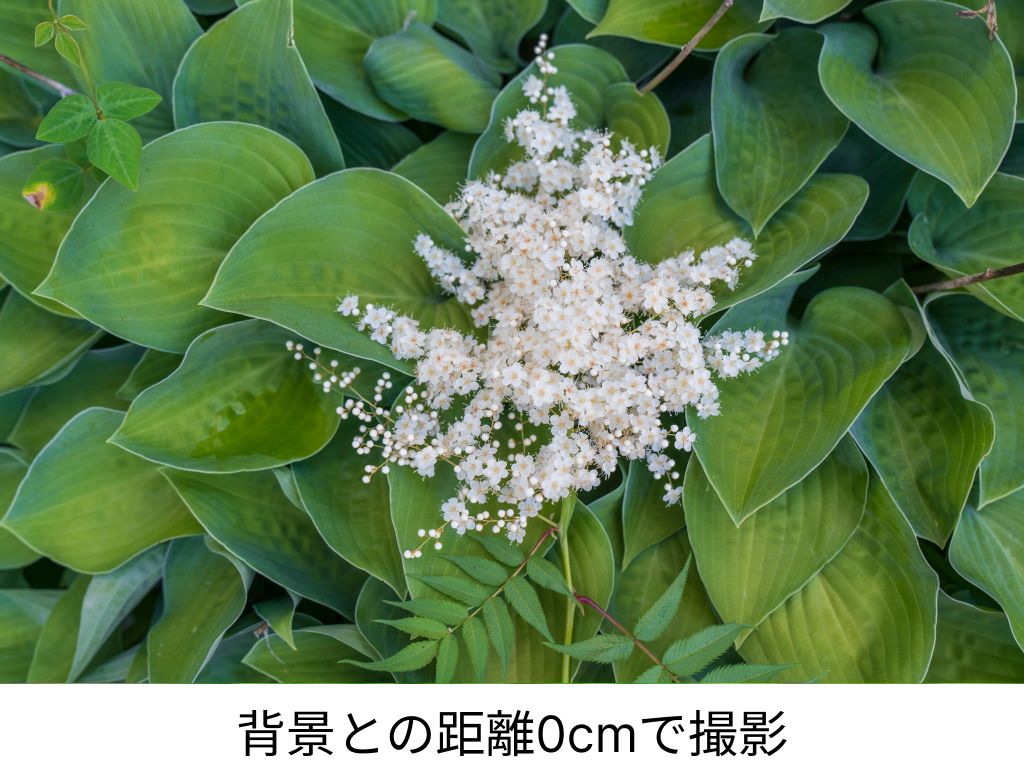 背景との距離とボケ