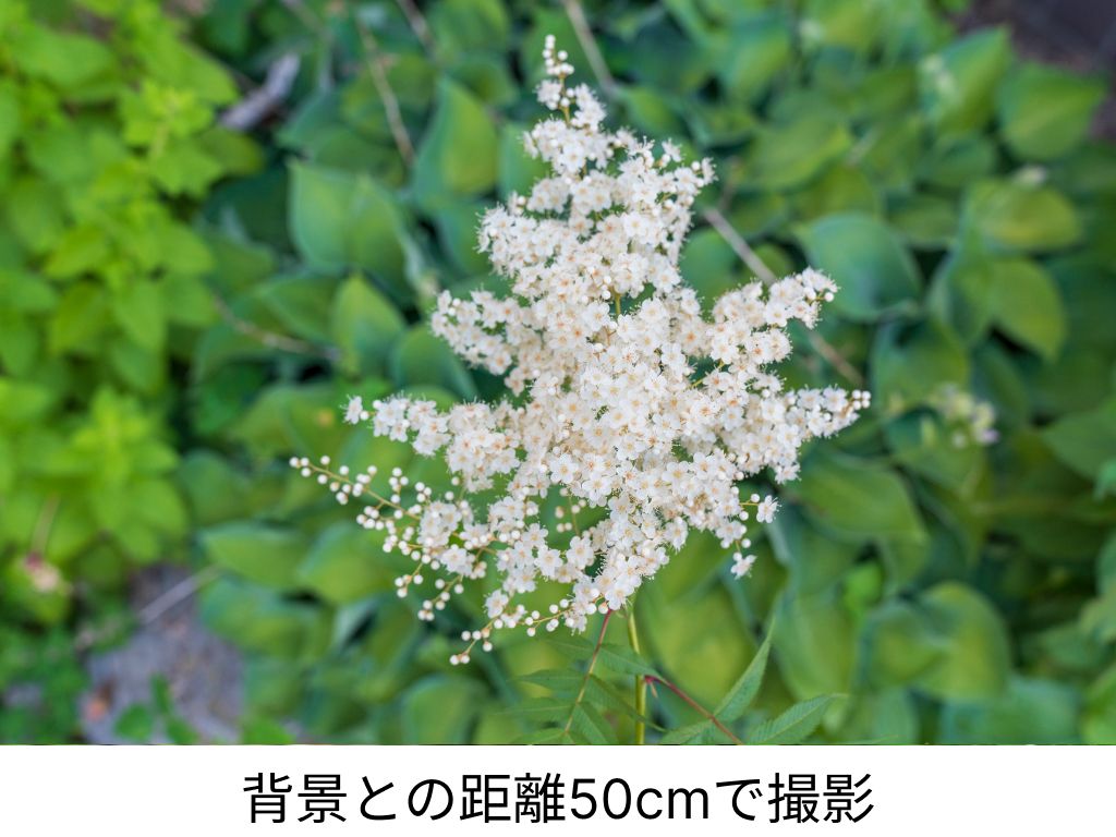 背景との距離とボケ