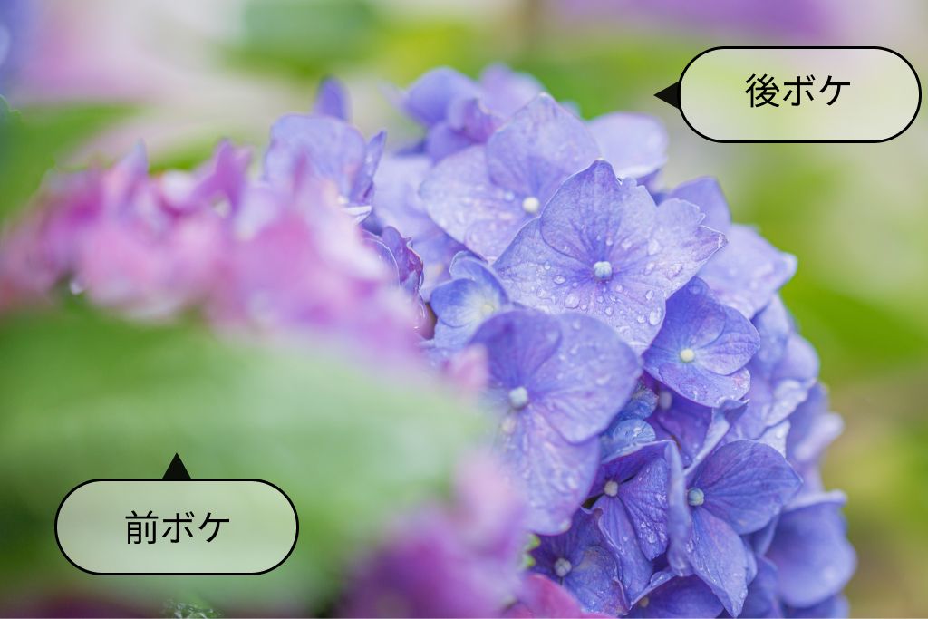 前ボケと後ボケ