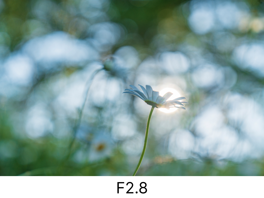 玉ボケF2.8