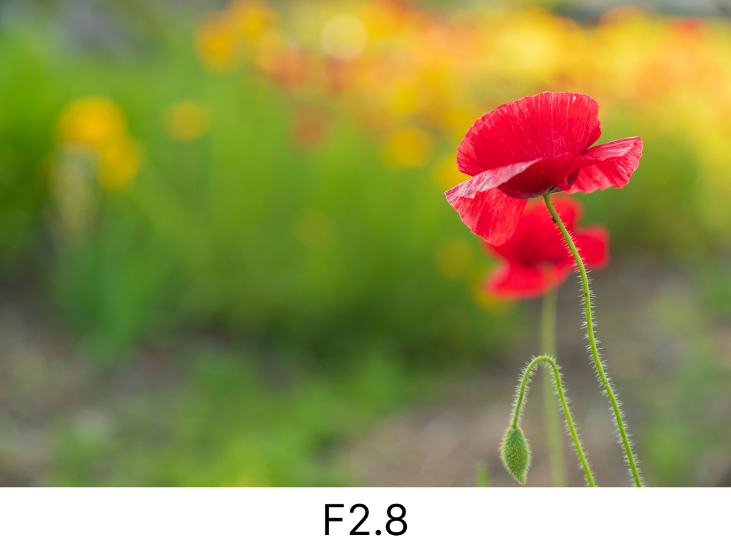 ボケF2.8