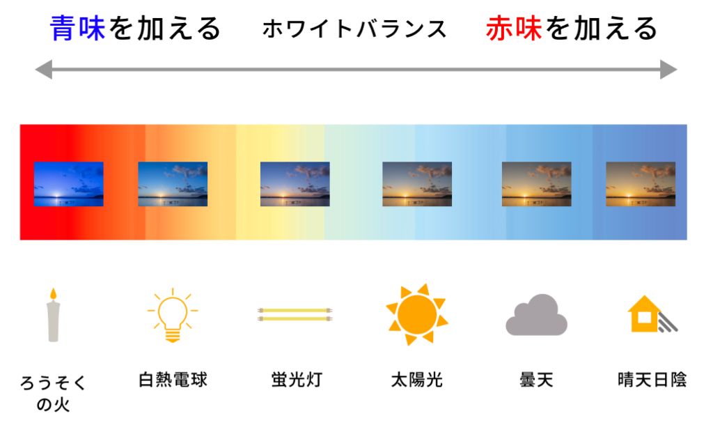 色温度とホワイトバランスの関係