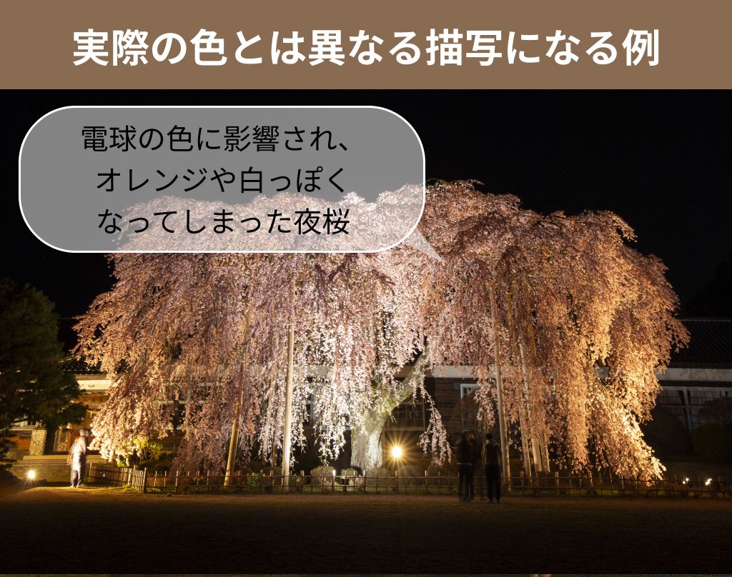 ホワイトバランス