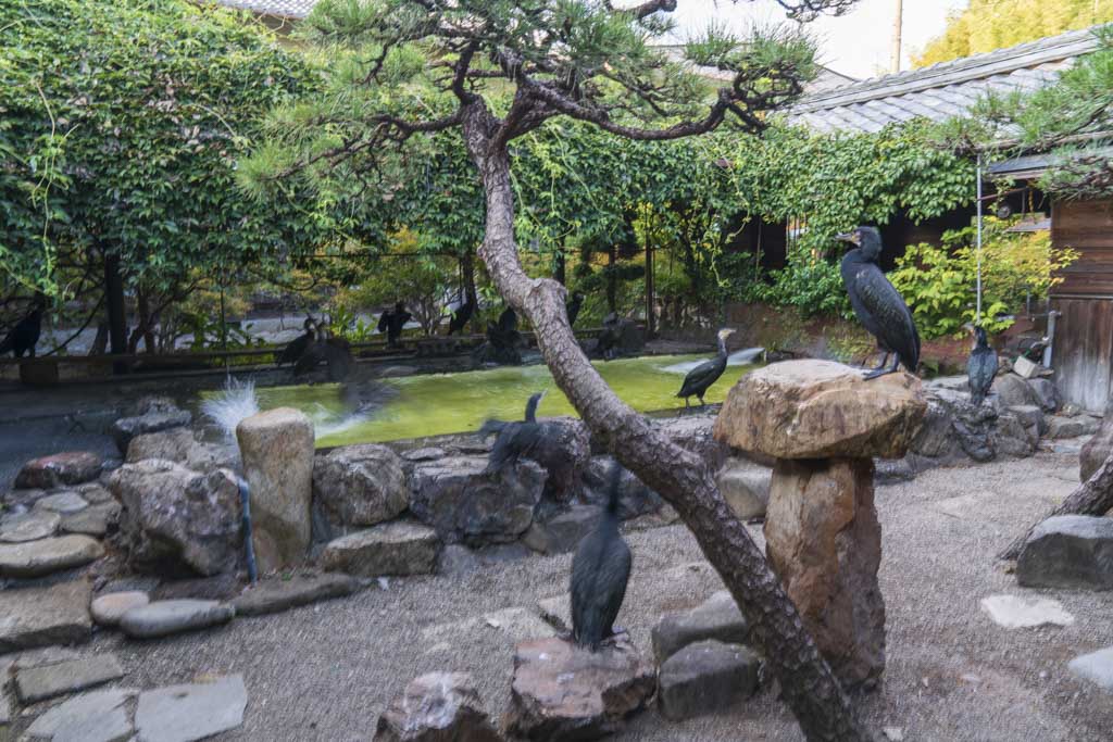 鵜匠さん宅庭