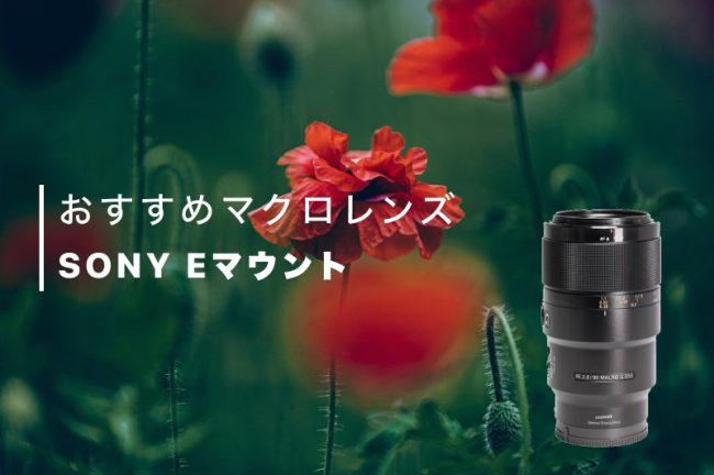 SONYのおすすめマクロレンズ8選！選び方も詳しく解説