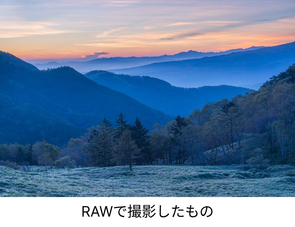 raw撮影