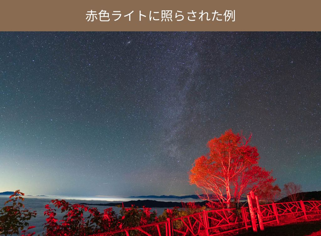 赤い光に照らされた写真