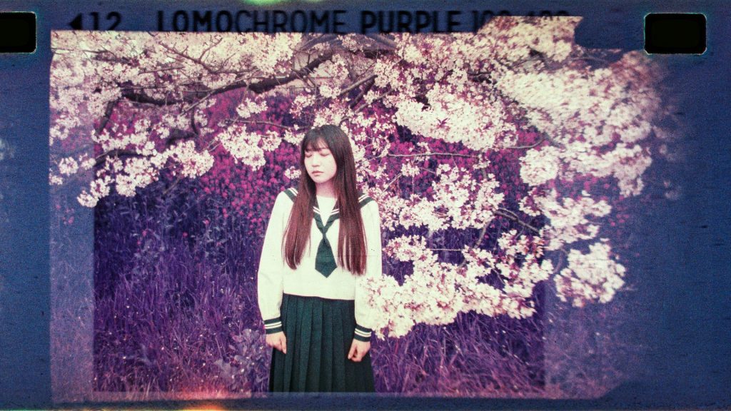 Lomographyから面白いフィルムカメラがでた！「Lomomatic 110」レビュー【PR】