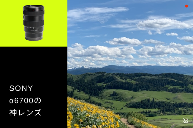 SONY α6700の神レンズ12選！単焦点から望遠まで用途別におすすめ