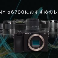 SONY - 【極上美品 】Sony a6600 &amp; sigma レンズ3本 レンタル] 野鳥撮影セット ソニー α6700とタムロン超望遠ズーム
