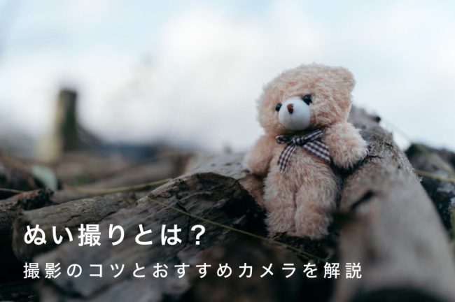 ぬい撮りとは？推しを引き立てる写真撮影のコツとおすすめカメラ