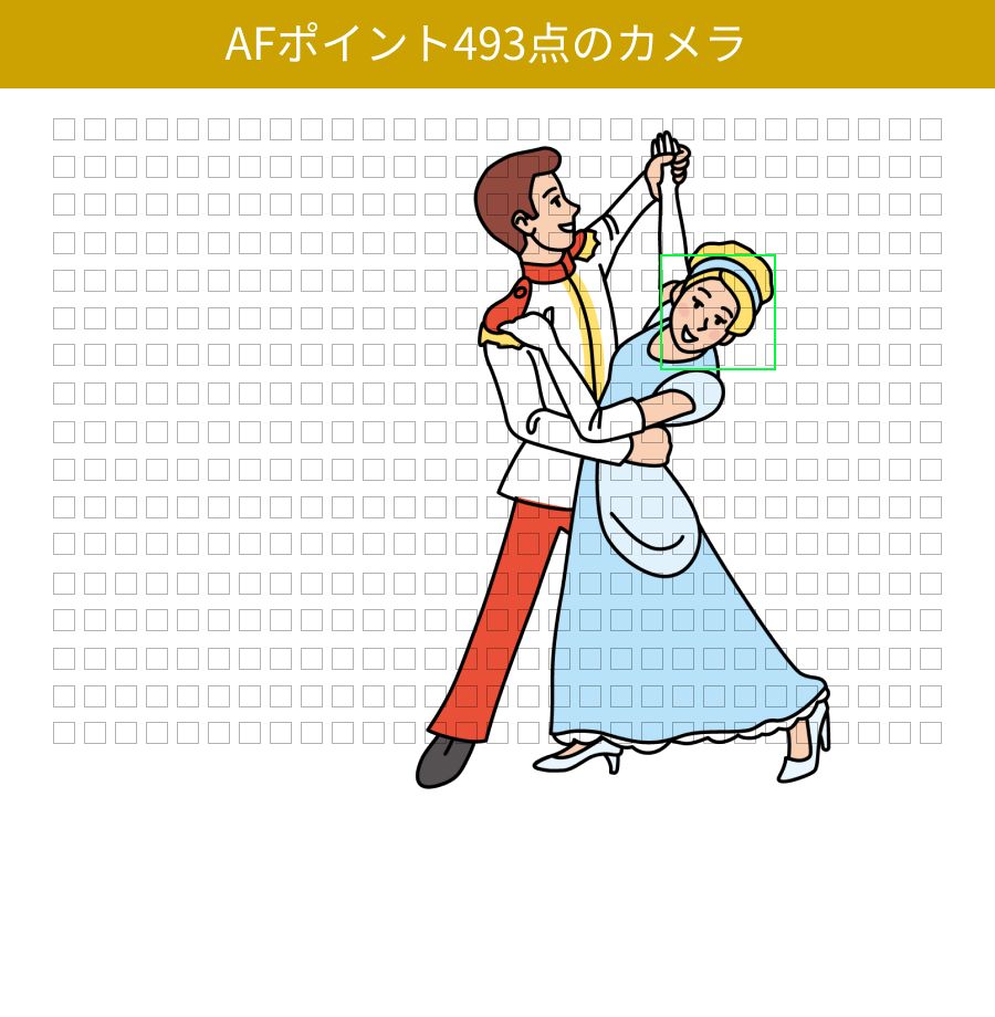 493点のAF
