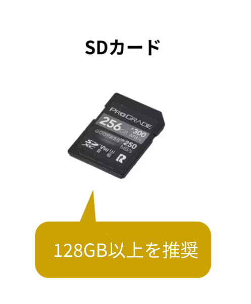 SD