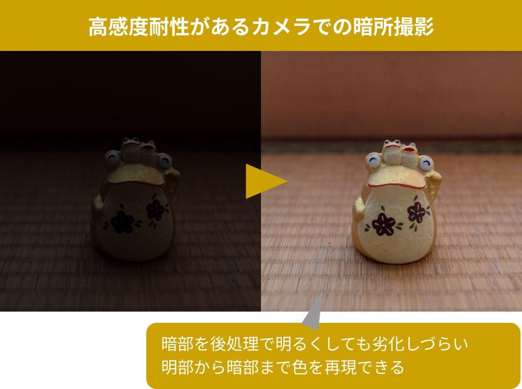 暗所撮影比較