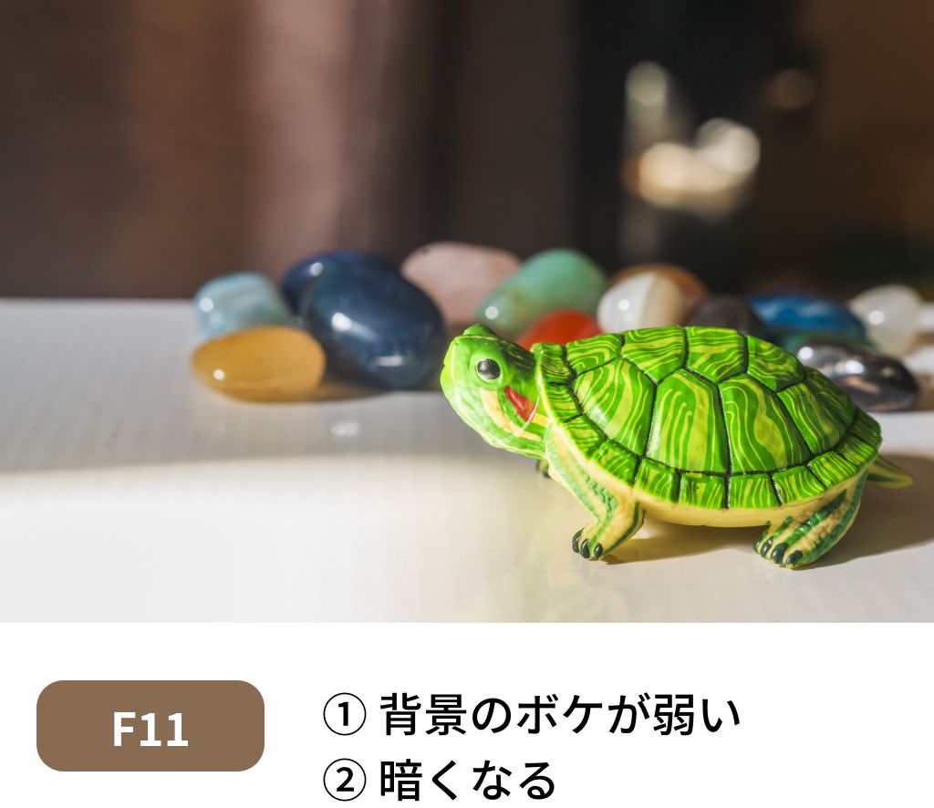 F11