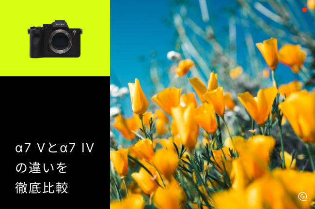 α7 Vとα7 IVの違いを徹底比較！スペック・機能の進化点まとめ