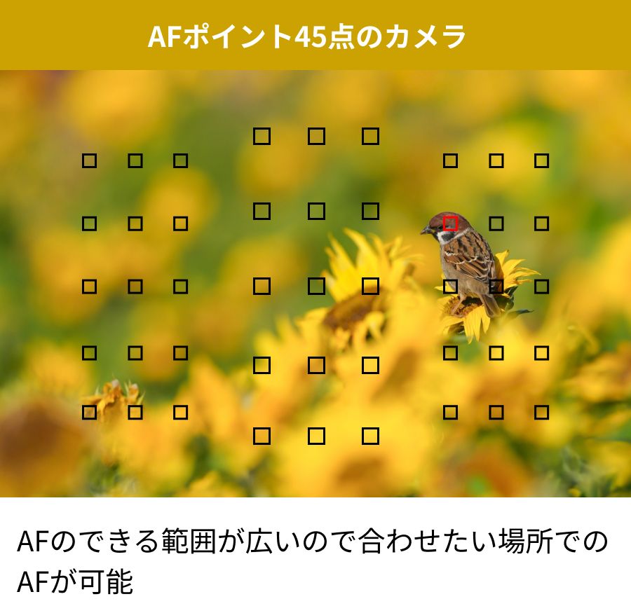 AF45

