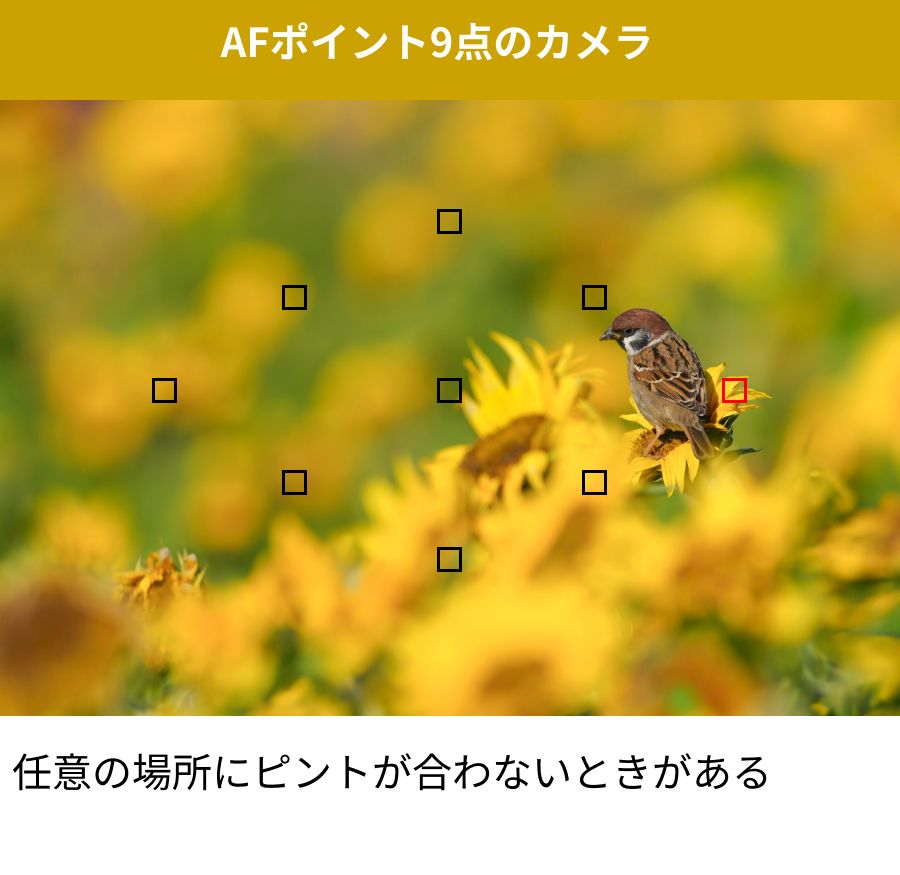 AF9