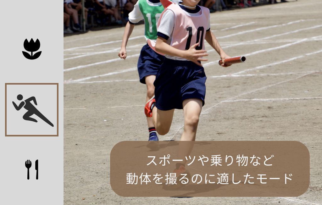 ガイド