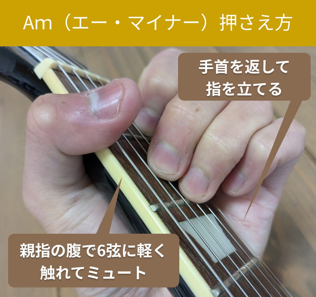 Am（エー・マイナー）の押さえ方（自分視点）