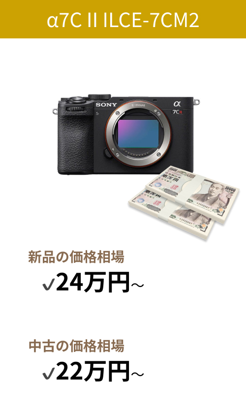 SONY（ソニー）の初心者向けカメラ12選【選び方も紹介！】 | カメラ 