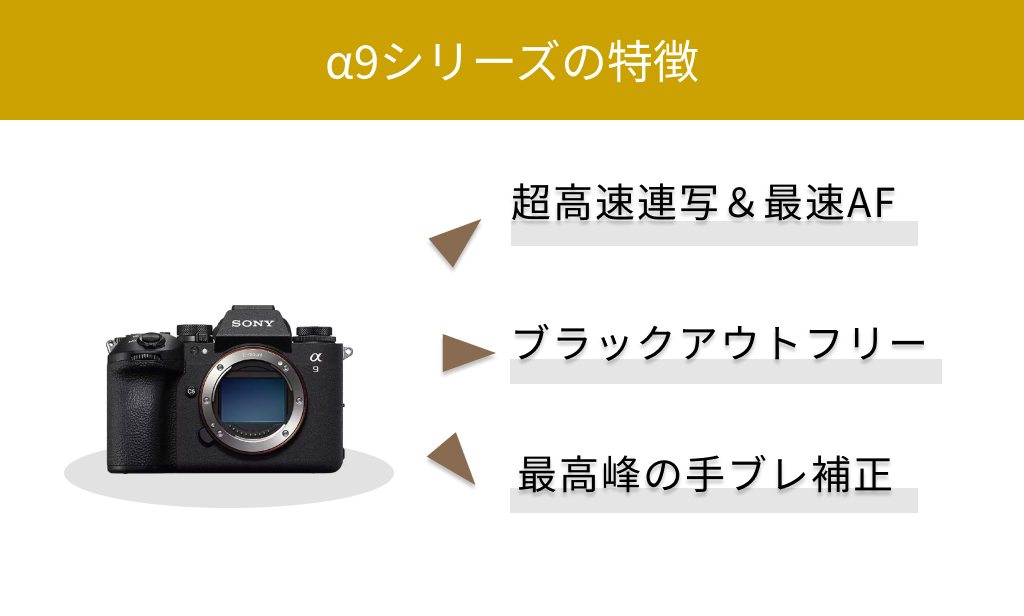 非常に良い）アルファ ソニー デジタル一眼カメラ α NEX-5N ボディ 