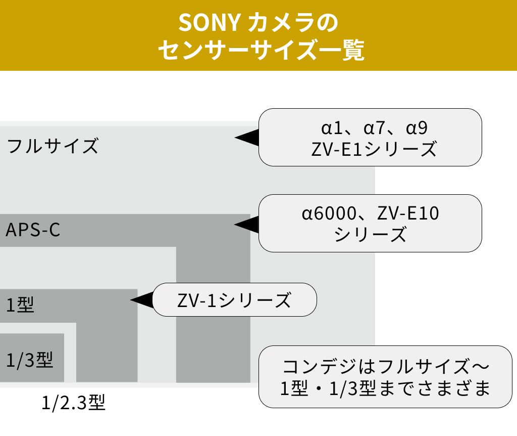 SONYセンサーサイズ