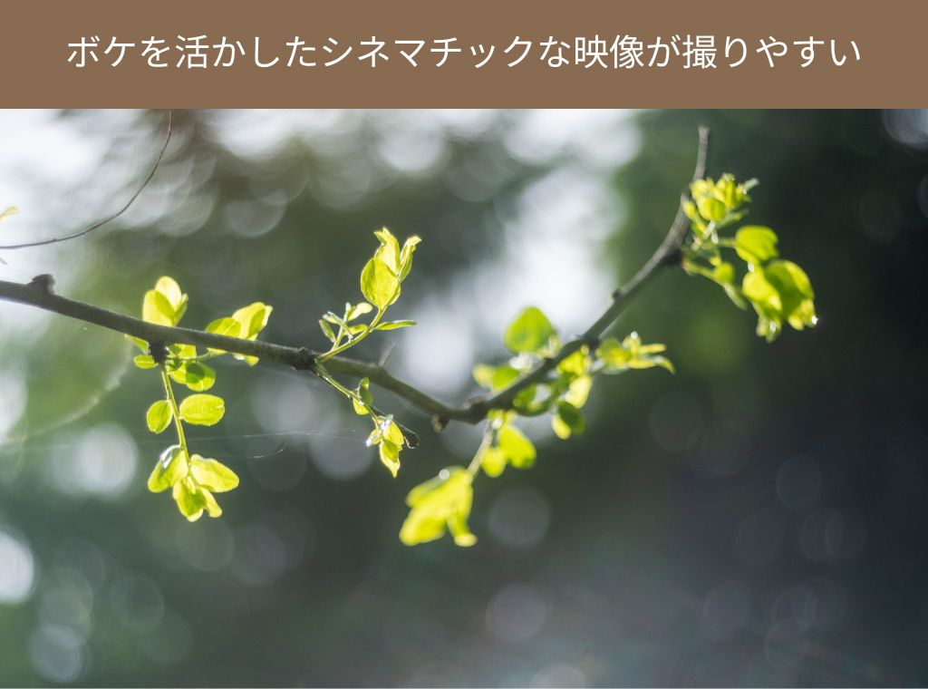一眼レフカメラで撮る映像