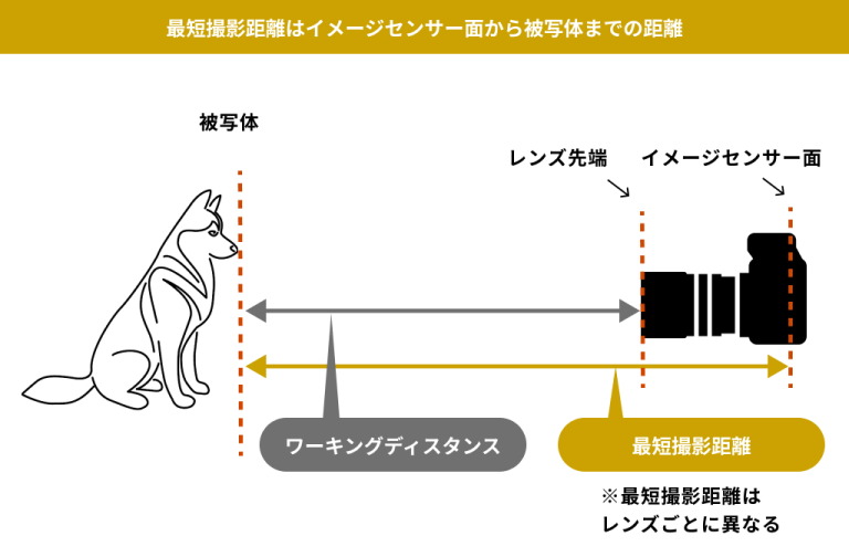 最短撮影距離