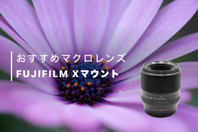 富士フイルム（FUJIFILM）のマクロレンズおすすめ5選！普段使いから本格的撮影にも