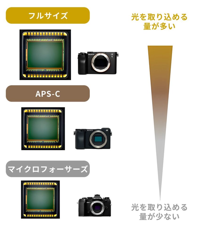 センサーサイズ光の量