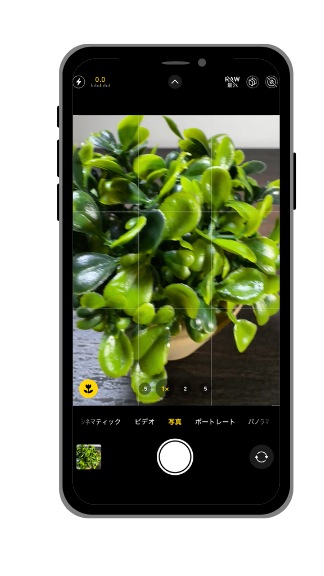 手順2.被写体に近づく