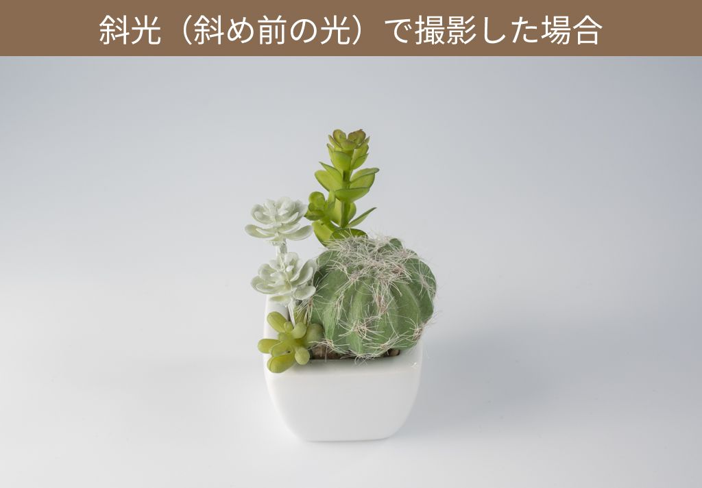斜光で撮影