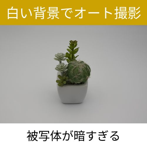 白背景オート