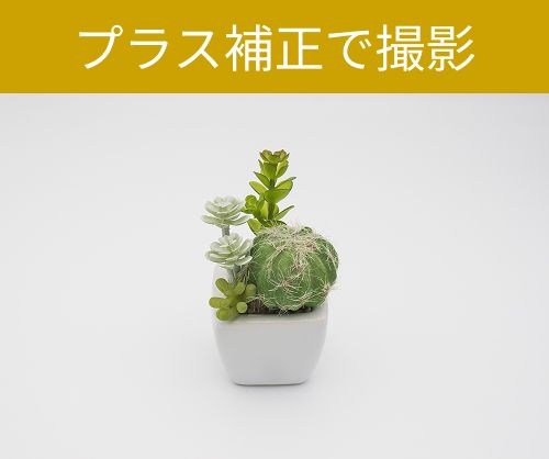 白背景