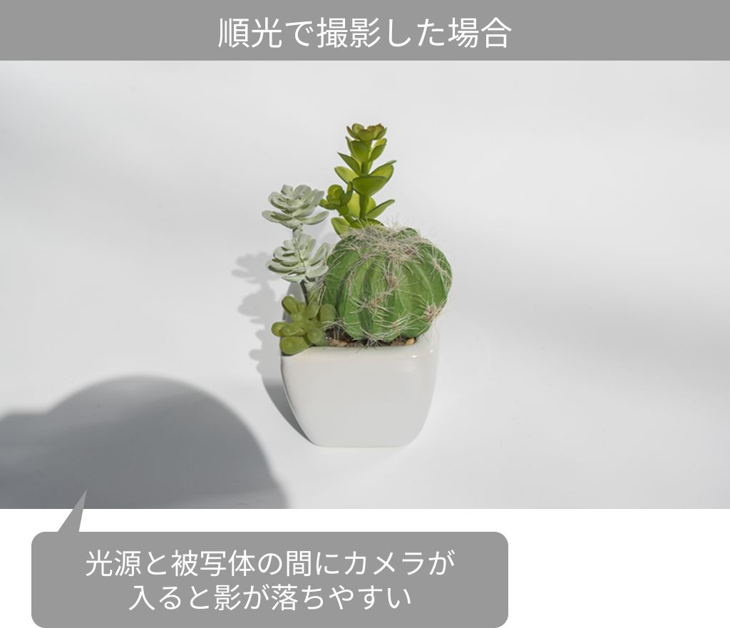 順光撮影
