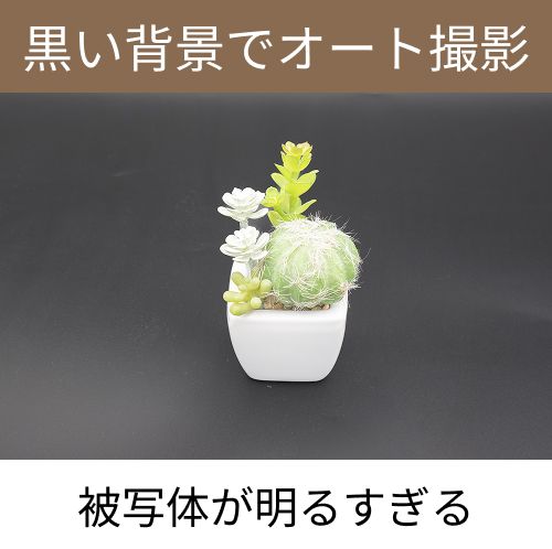 黒背景オート
