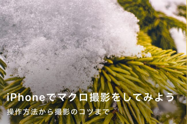iPhoneでマクロ撮影を楽しもう！手軽にできる撮影テクニック
